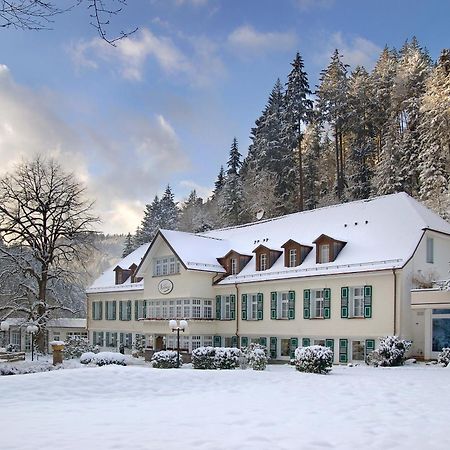 Waldhotel Bad Sulzburg Zewnętrze zdjęcie